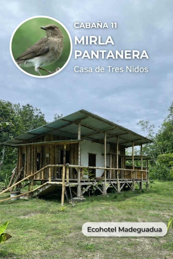 Casa de Tres Nidos