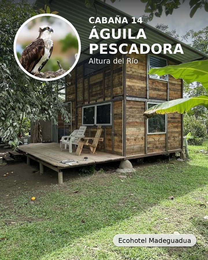 Altura del Río