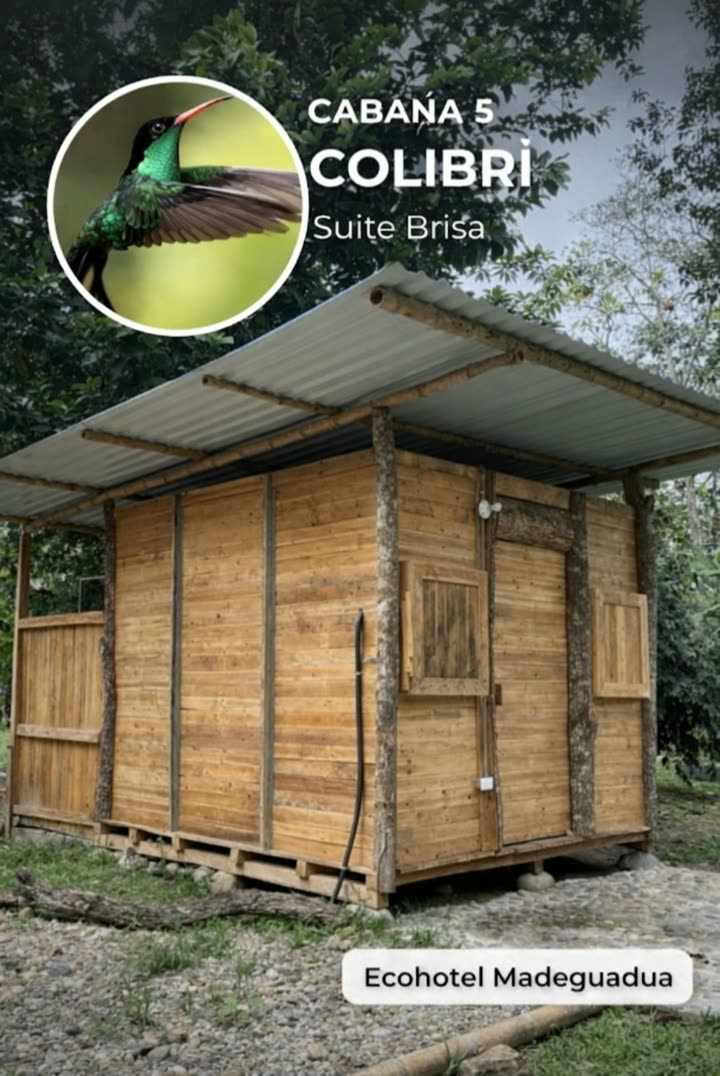 Suite Brisa