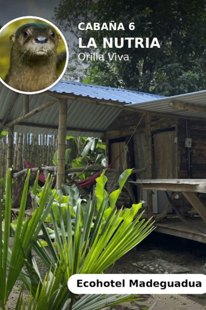 Orilla Viva