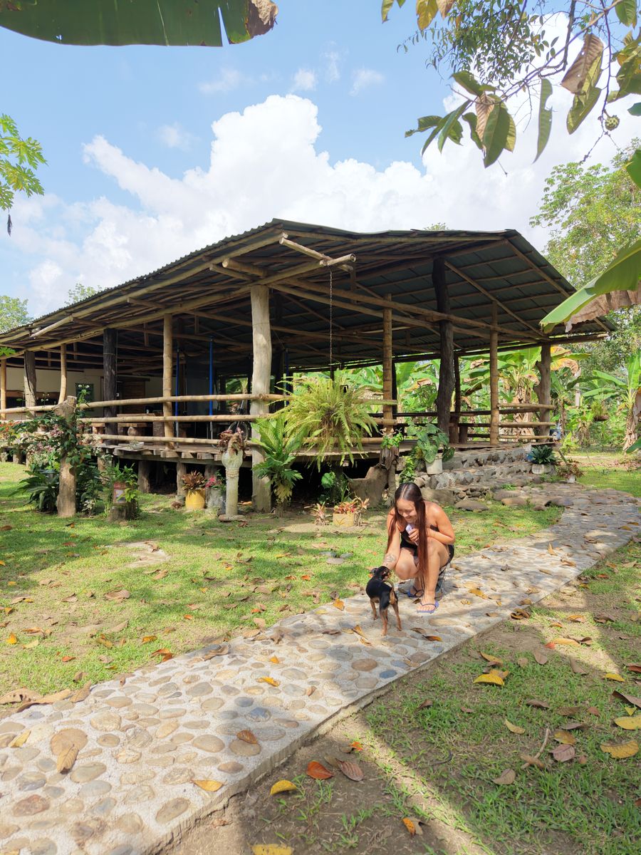 Ecohotel Madeguadua